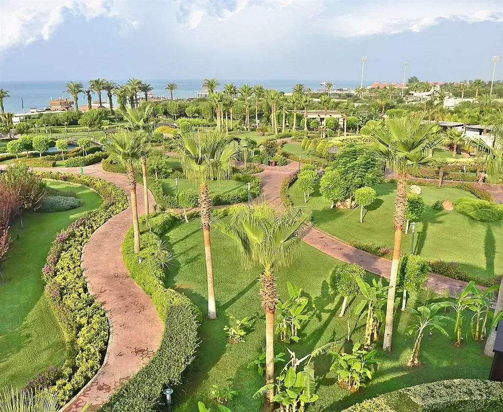 MIRACLE_SHABAVIZ (2).jpg